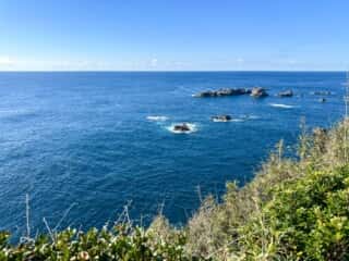 足摺岬