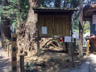 中尊寺　奥の細道展