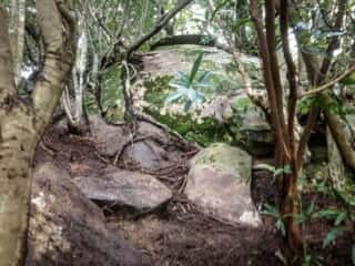 岩の博物館 竹ヶ島坊主岩