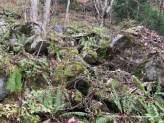 石上登山道