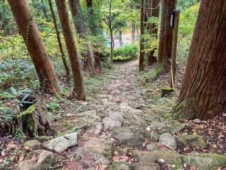真山登山道