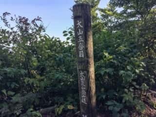 大山登山道