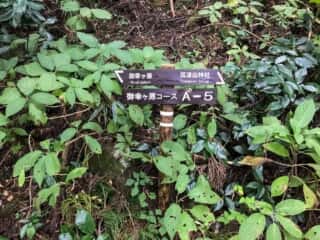 筑波山登山道