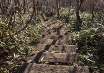 黒檜山 登山道