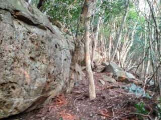 ビシャゴ磯 裏山の巨石群