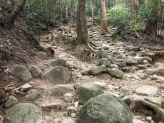 筑波山登山道