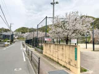 四国八十八ヶ所霊場 第49番札所 浄土寺〜第50番札所 繁多寺