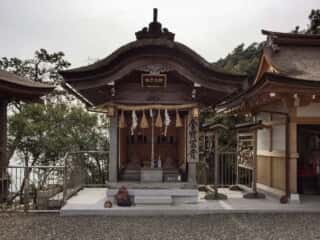 自己大神