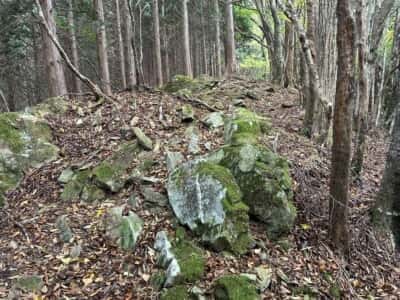 土佐矢筈山・小桧曽山