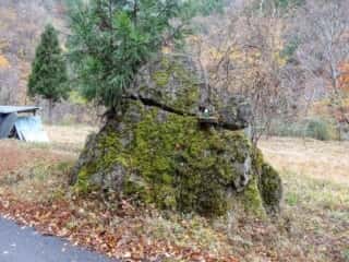 剣山スーパー林道