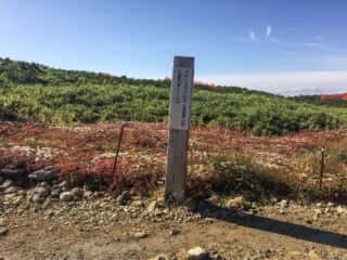 旭岳登山道
