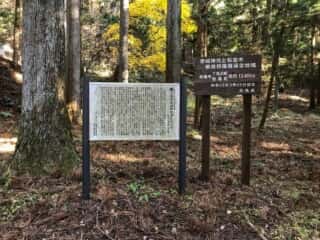 三夜沢赤城神社のたわら杉