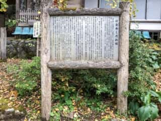 早池峰神社　妙泉寺しだれ桂