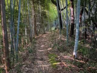 益田岩船への山道