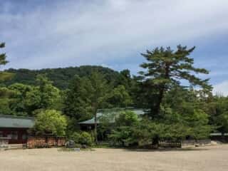 橿原神宮　境内
