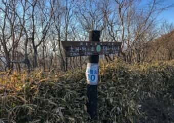 駒ケ岳 登山道