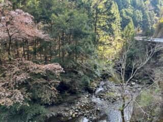 四国八十八ヶ所霊場 第44番札所 大寶寺〜第45番札所 岩屋寺