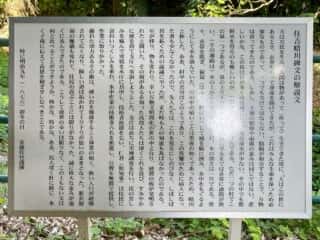 沖永良部島 住吉暗川