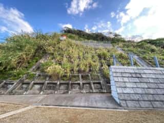 奄美大島 西古見金刀比羅神社