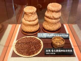 種子島 たねがしま赤米館