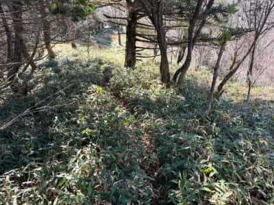 寒峰・烏帽子山