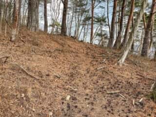 石投山 黒森山 登山道