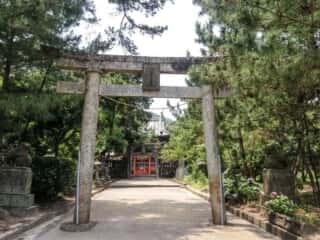 奈多宮神社　鳥居と参道