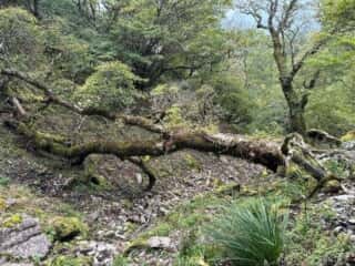 剣山登山2025年9月