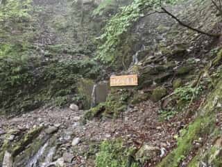 剣山の麓から流れる貞光川の源流