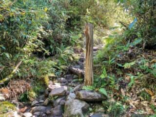 八甲田山 登山道