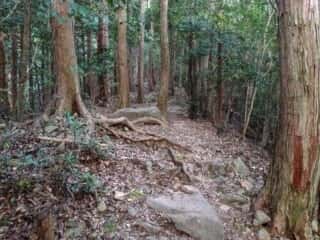 瀧尻王子宮　熊野古道
