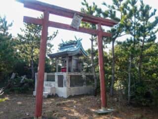 伊島の自然