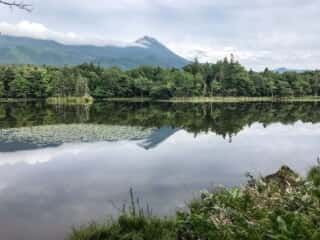 知知床五湖 地上遊歩道