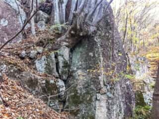 守屋山巨石群　双子岩