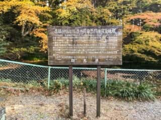 三夜沢赤城神社と松並木