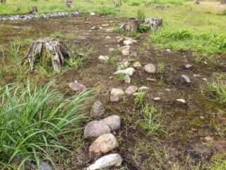 大森勝山遺跡 環状列石 (ストーンサークル)