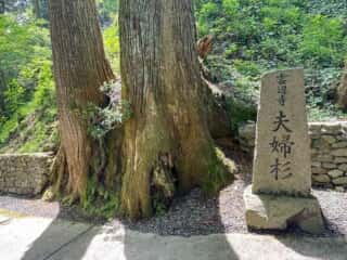 四国八十八ヶ所霊場 第66番札所 雲辺寺