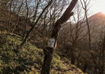 駒ケ岳 登山道