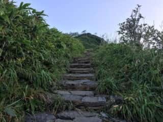 観光新道登山道