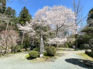 四国八十八ヶ所霊場 第43番札所 明石寺