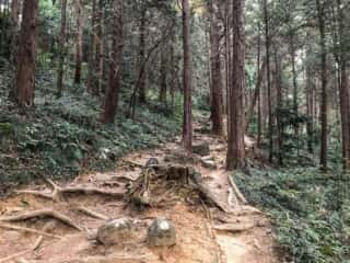 筑波山登山道