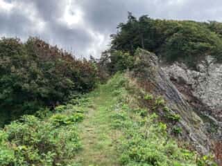 願掛岩から山道を降る
