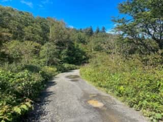 屏風岳・刈田岳 登山道