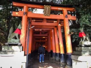伏見稲荷大社　千本鳥居