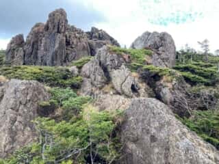 中岳登山道
