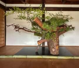 本楽寺