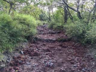 高千穂峯登山道