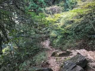 筑波山登山道