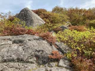 姫神山 登山道巨石群