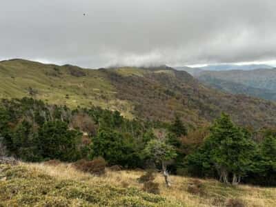 土佐矢筈山・小桧曽山